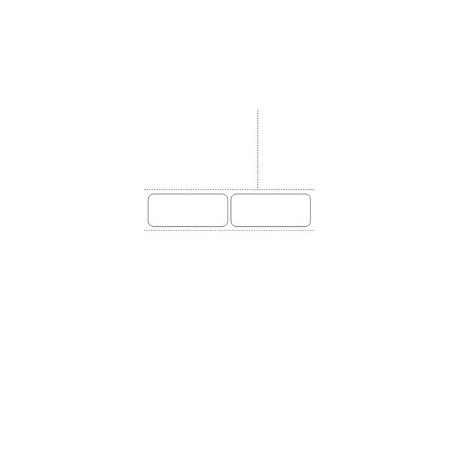 1000 Fiches Suivi de Patient Universelle SESAM A4 - LWU3 - 90 GRAMMES 2 Etiquettes 98x40